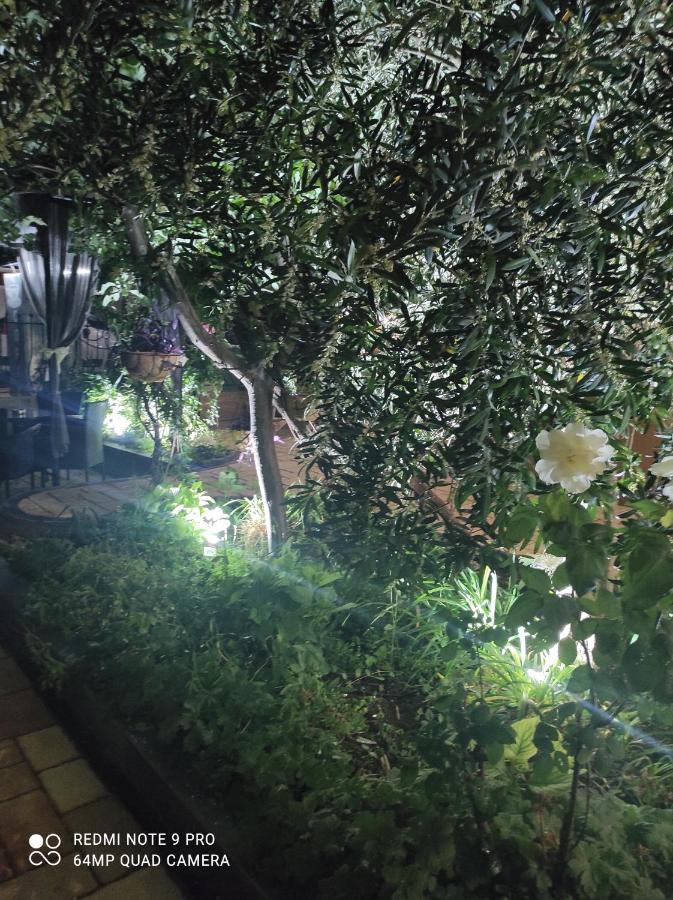 פרימורסקו Guest House Adriya מראה חיצוני תמונה