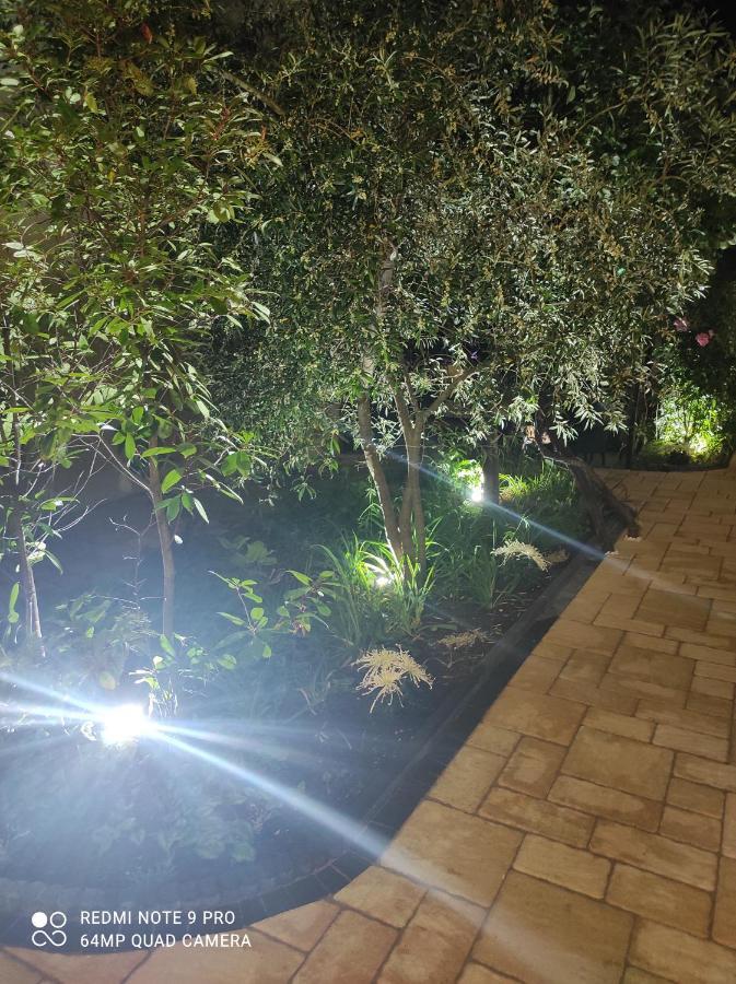 פרימורסקו Guest House Adriya מראה חיצוני תמונה