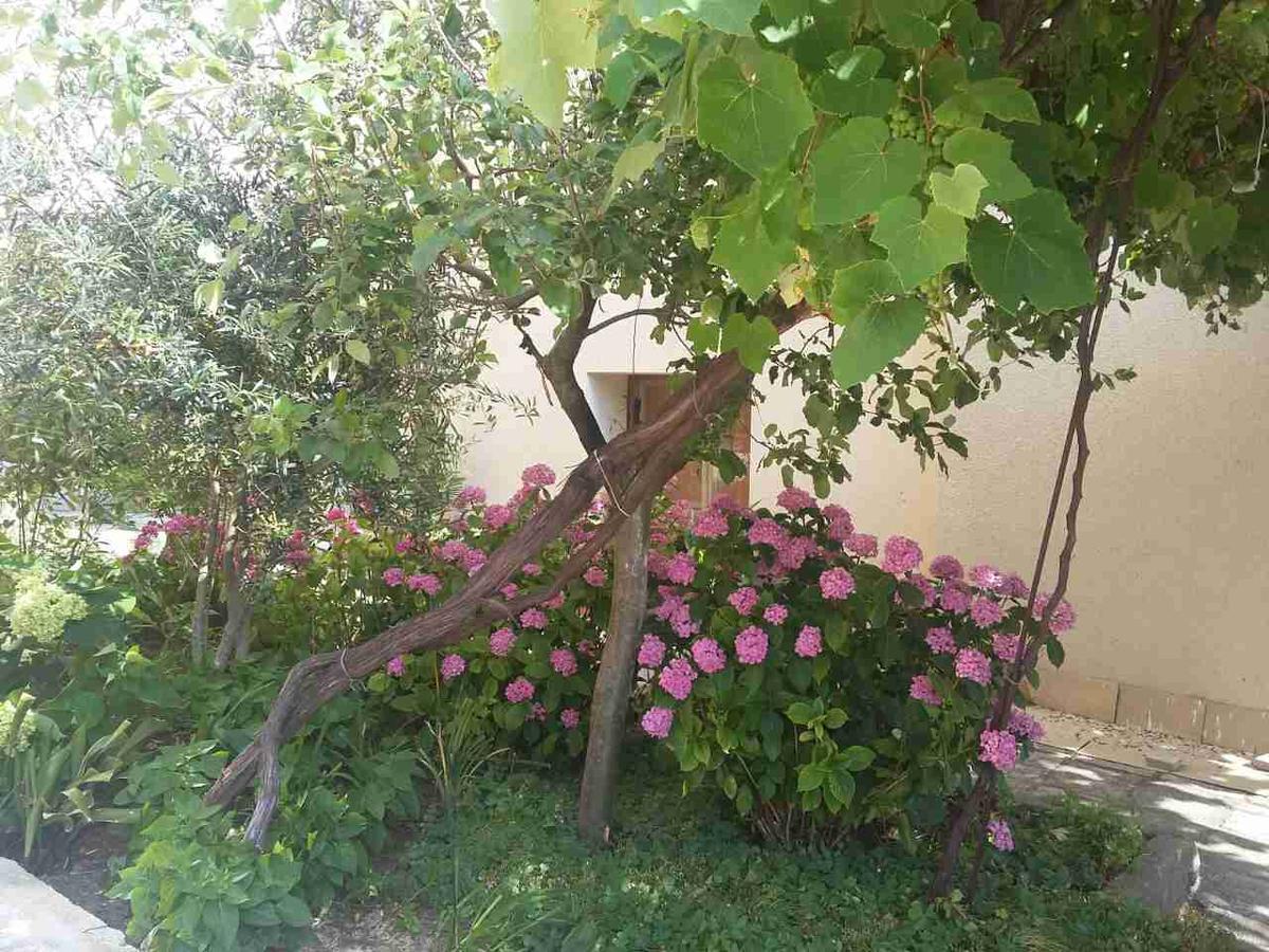 פרימורסקו Guest House Adriya מראה חיצוני תמונה